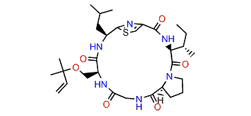 Mollamide C